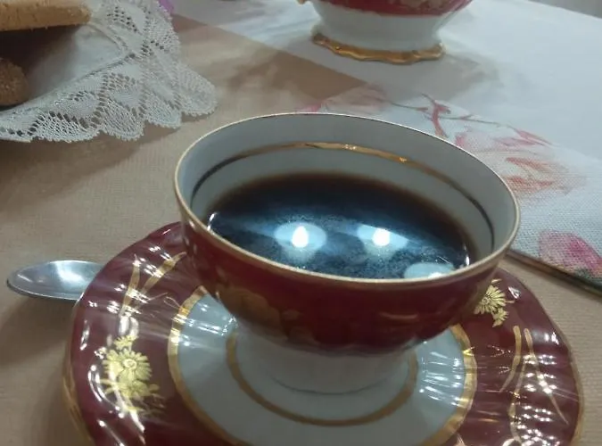 Accommodatie bij particulieren Musas Gastro *